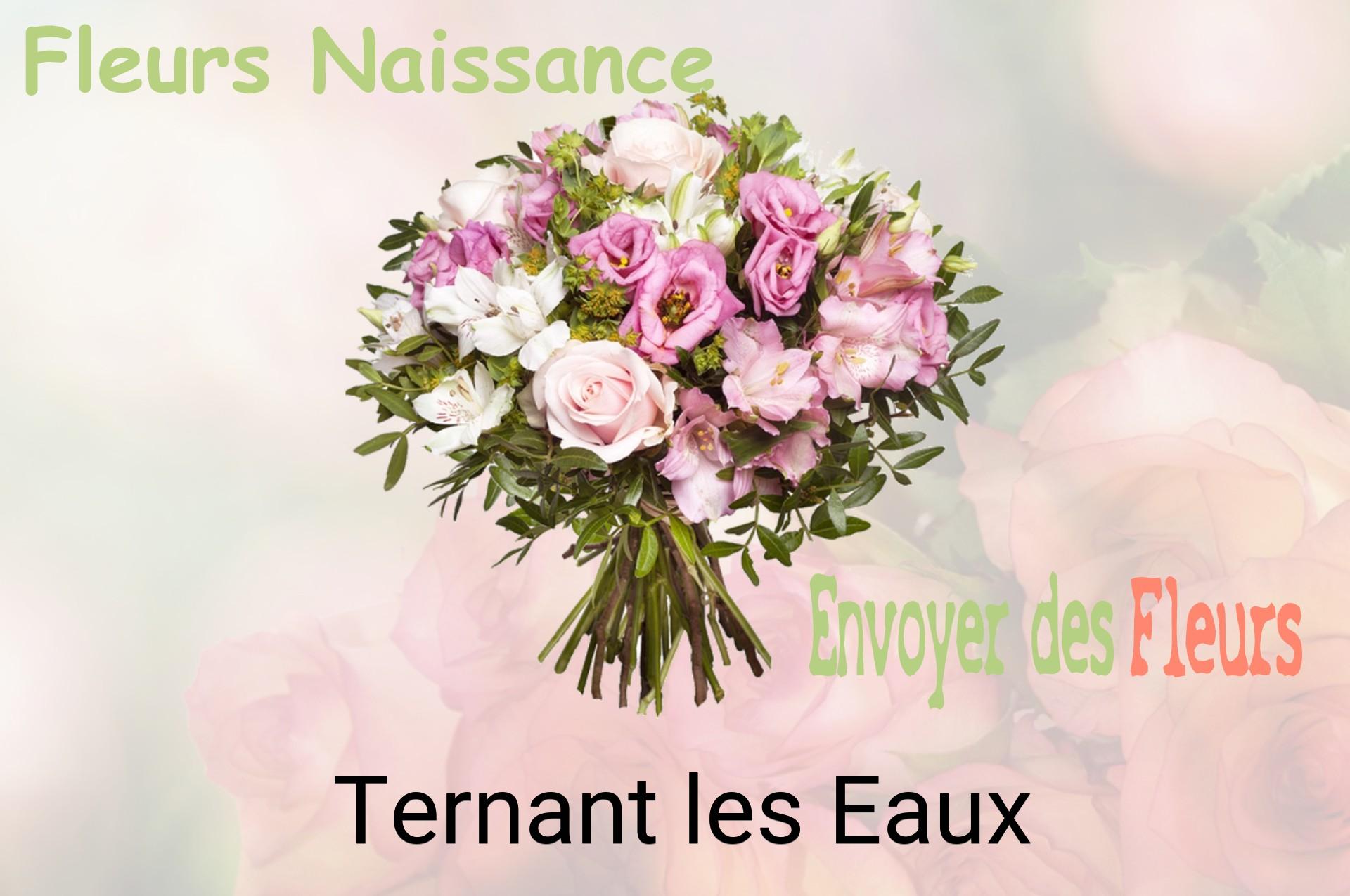 Bouquet de fleurs de naissance livré à Ternant-les-Eaux